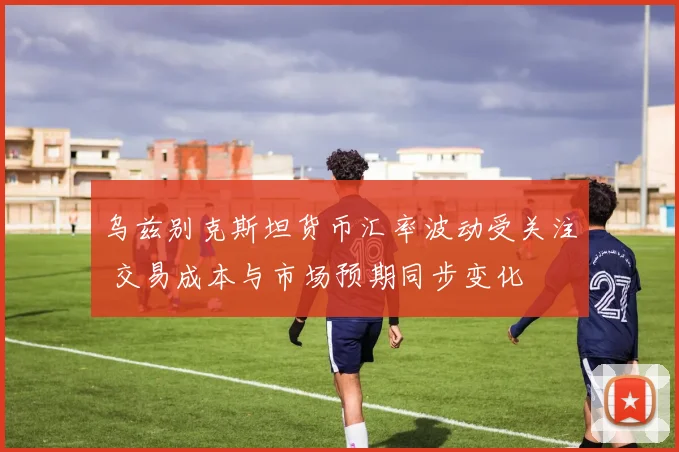 乌兹别克斯坦货币汇率波动受关注 交易成本与市场预期同步变化