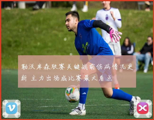 勒沃库森联赛关键战前伤病情况更新 主力出场成比赛最大看点