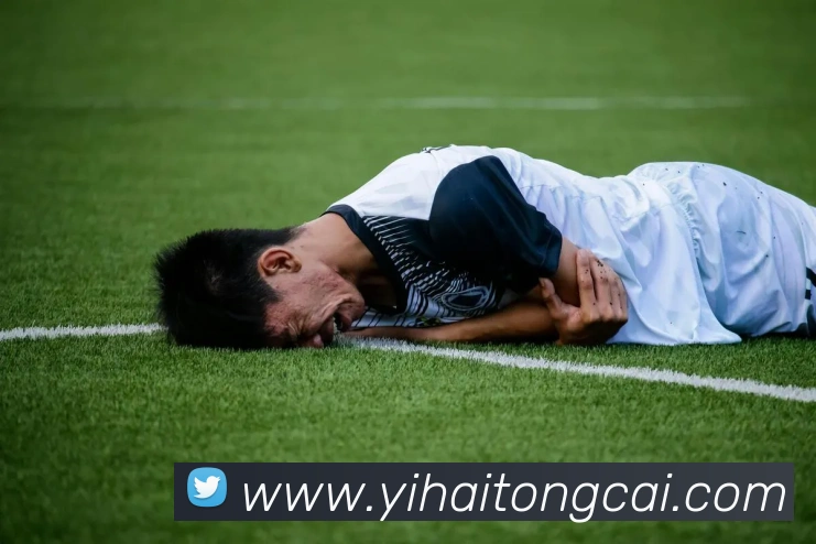 必一运动体育app官网平台生态图