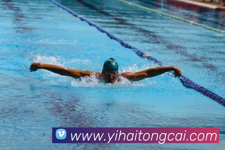 必一运动体育app官网APP 封面图